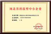 河北省科技型中小企业