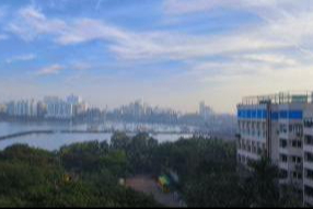 大海